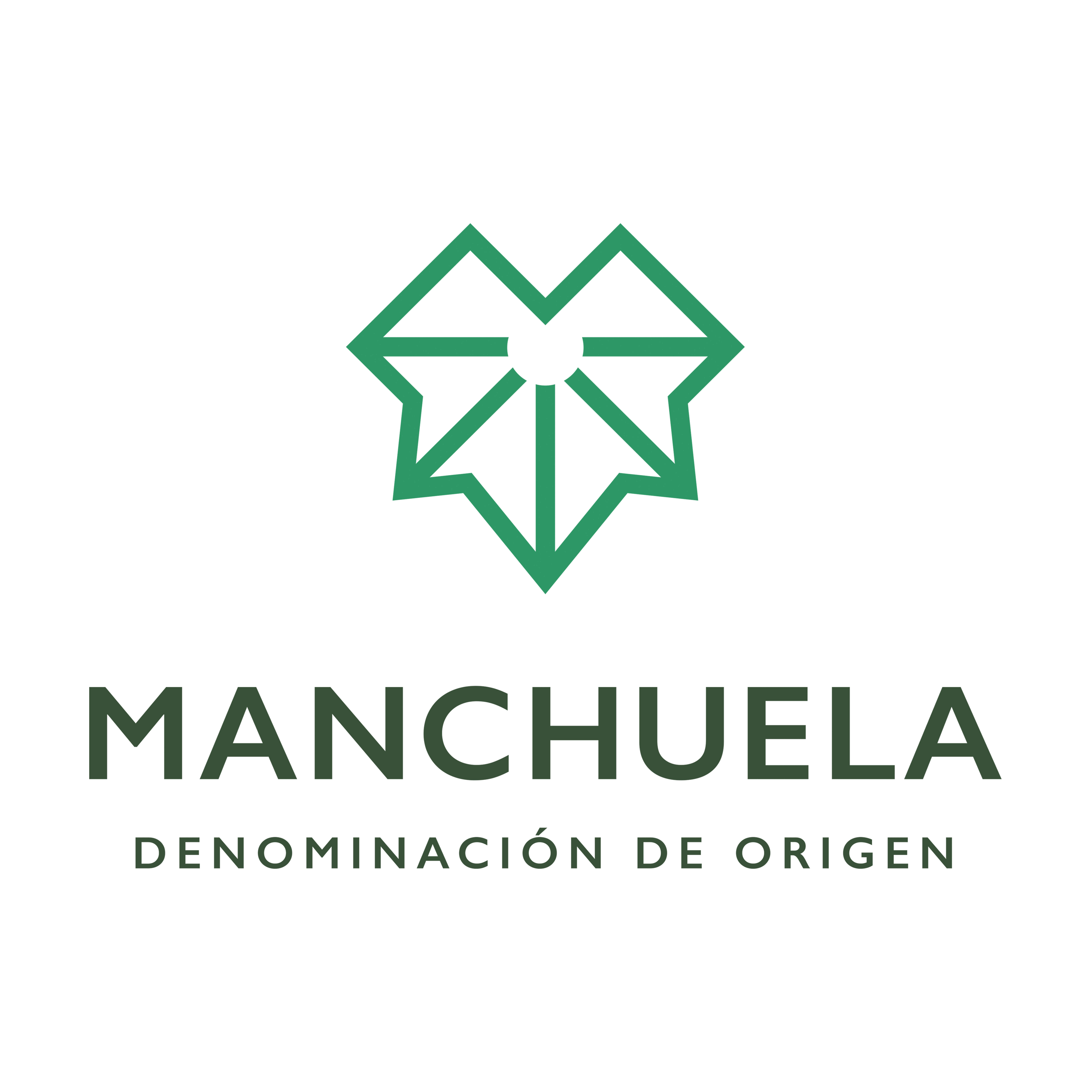 Logo of the DO MANCHUELA